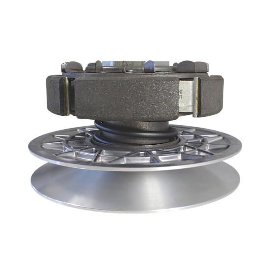 COMPLETE CENTRIFUGAL CLUTCH FORT350
