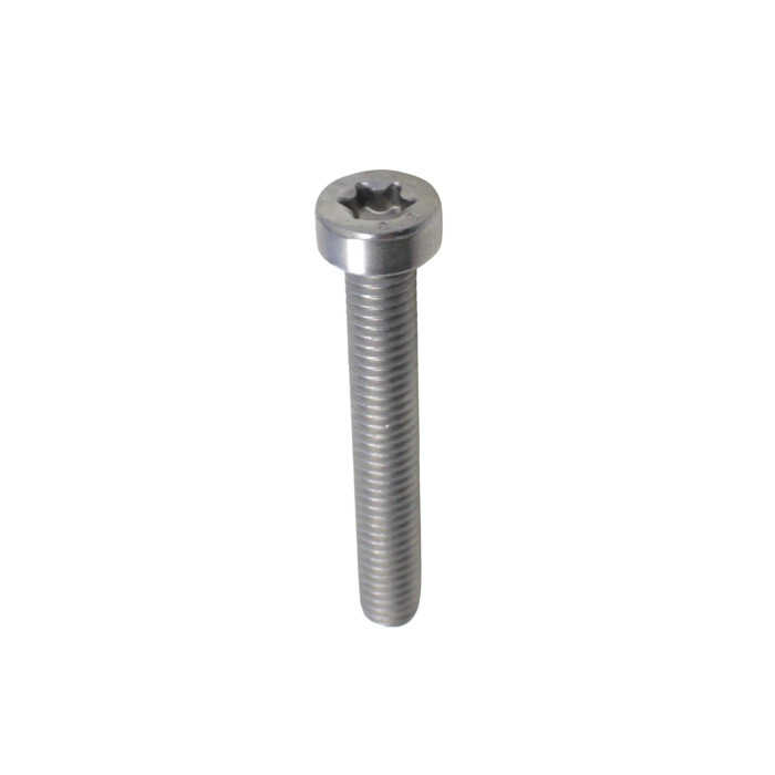 Screw M6x40mm FORT350