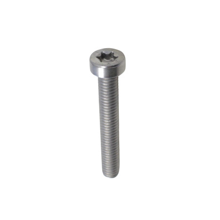 Varžtas M6x40mm FORT350