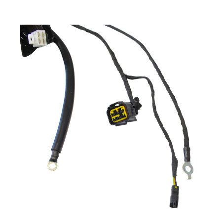 FORT350 ELECTRICAL WIRING