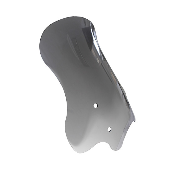 WINDSHIELD WITH MOUNTING MBP C1002V