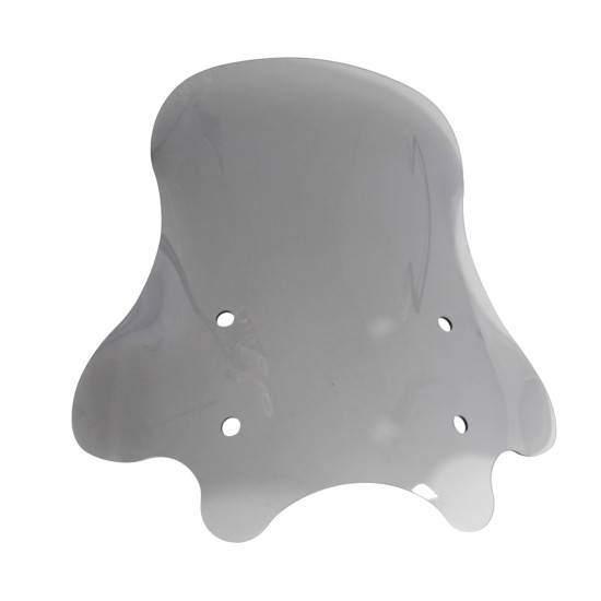 WINDSHIELD WITH MOUNTING MBP C1002V