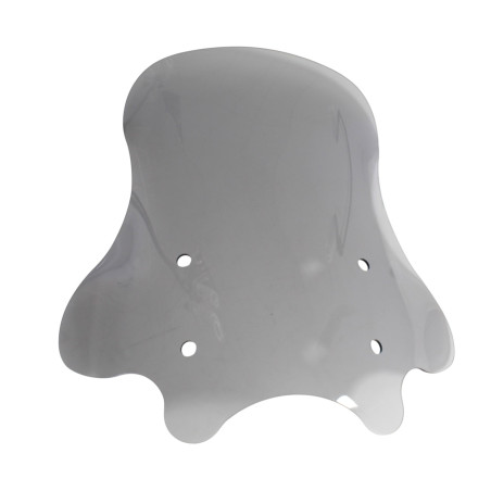 WINDSHIELD WITH MOUNTING MBP C1002V
