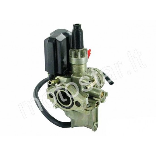 Peugeot Vertical standard carburetor