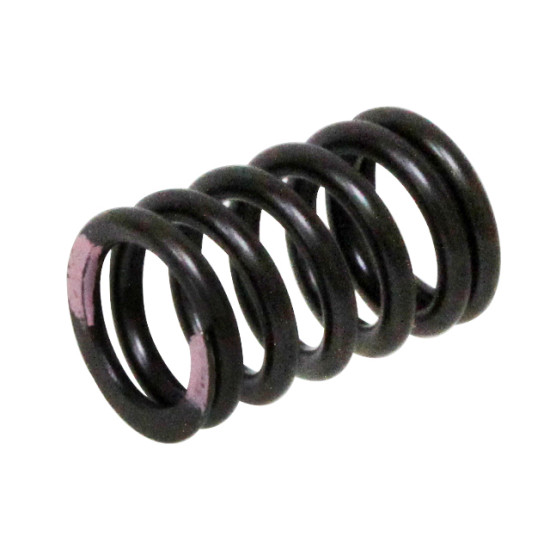 PSYCHIC intake valve spring KAWASAKI KXF 250 '11-'16 (MX-09539IS)