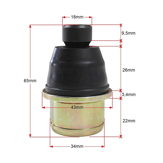 TEKYO CAN-AM PIN kodas 42-1042