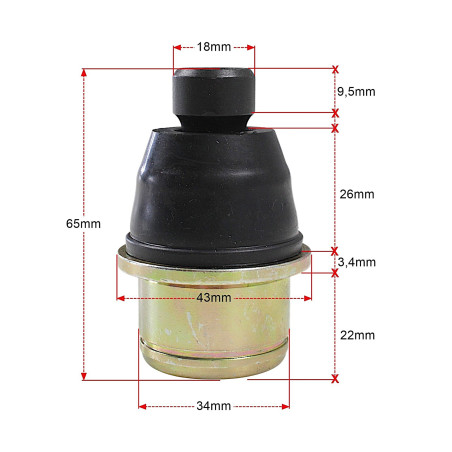 TEKYO CAN-AM PIN kodas 42-1042