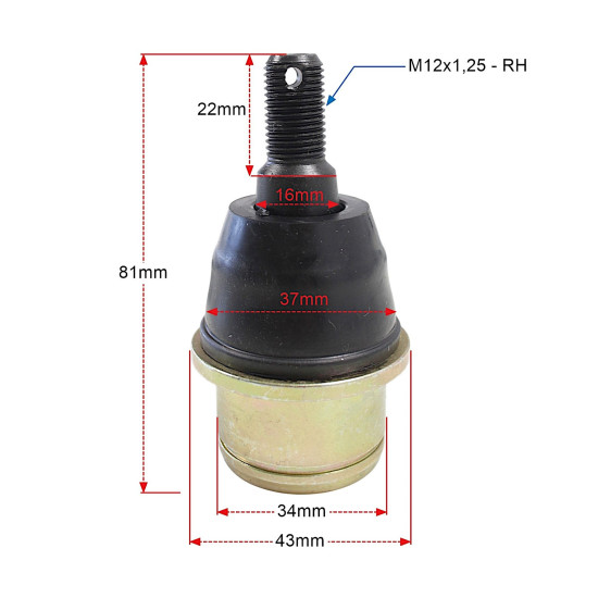 TEKYO CAN-AM PIN kodas 42-1043