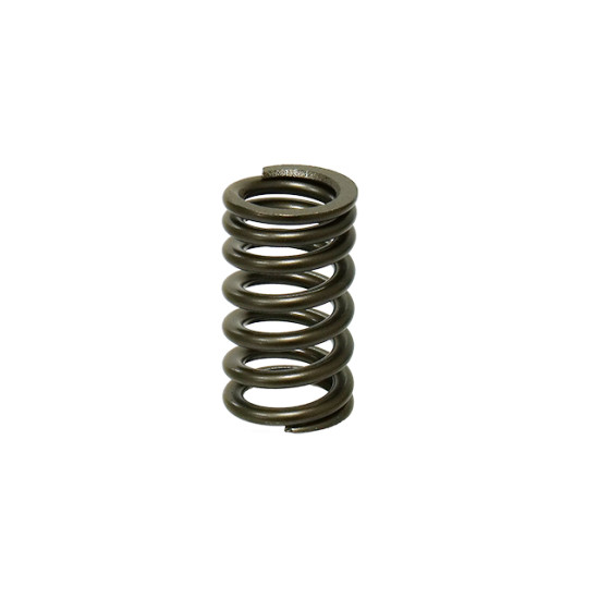 PSYCHIC intake valve spring YAMAHA YZF 250 '14-'16 (MX-09553IS)