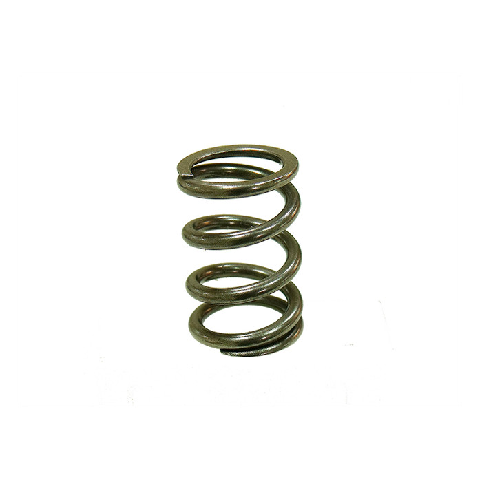 PSYCHIC exhaust valve spring KTM SXF 250 '08-'12, EXCF 250 08-13 (MX-09551ES)