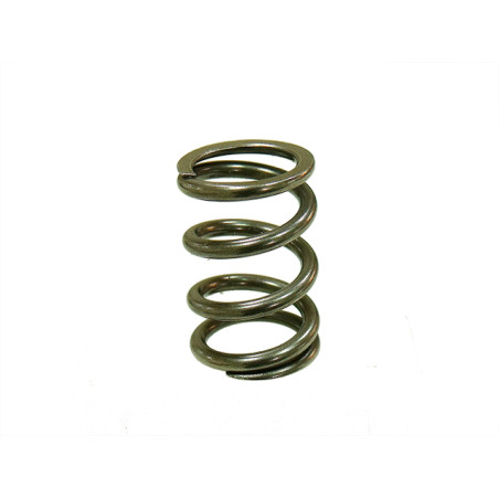 PSYCHIC exhaust valve spring KTM SXF 250 '08-'12, EXCF 250 08-13 (MX-09551ES)