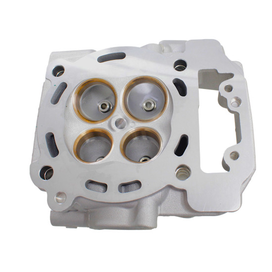 CYLINDER HEAD WITH EGR SFA1000
