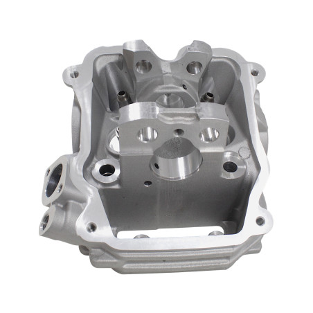 CILINDRO GALVUTĖ SU EGR SFA1000