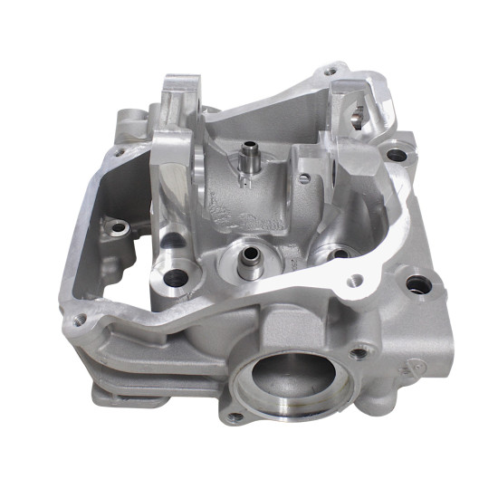 CYLINDER HEAD WITH EGR SFA1000