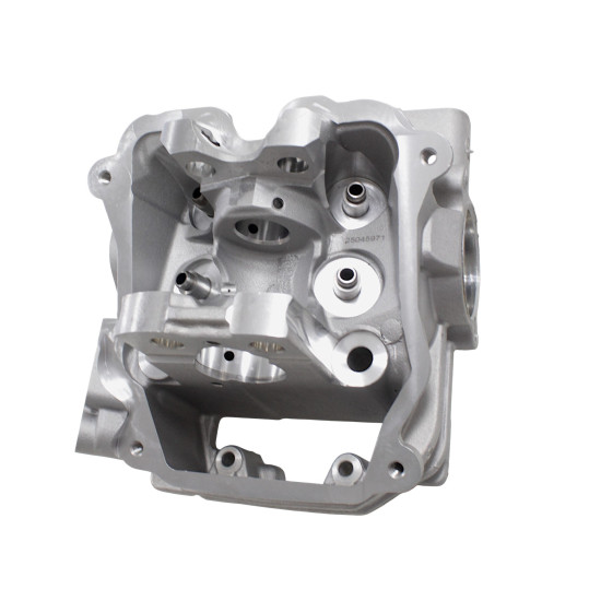 CYLINDER HEAD WITH EGR SFA1000