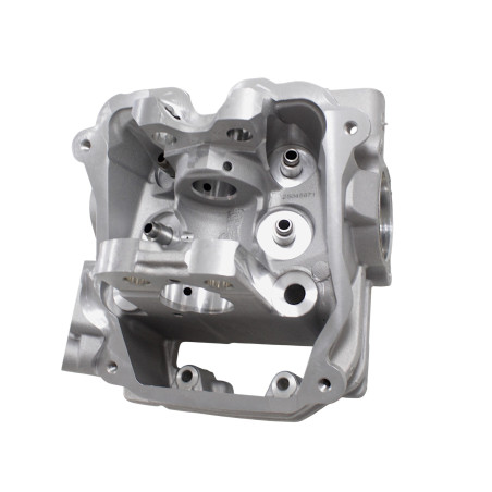 CYLINDER HEAD WITH EGR SFA1000