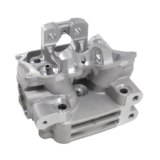 CYLINDER HEAD WITH EGR SFA1000