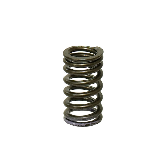PSYCHIC exhaust valve spring YAMAHA YZF 250 '14-'16 (MX-09553ES)