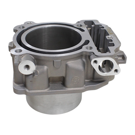 PRIEKINIS CILINDRAS SU EGR SFA1000