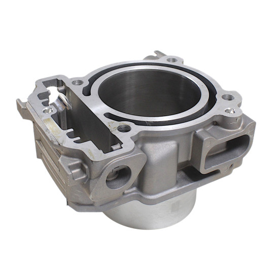 PRIEKINIS CILINDRAS SU EGR SFA1000