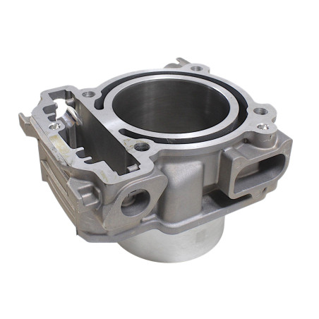 FRONT CYLINDER WITH EGR SFA1000