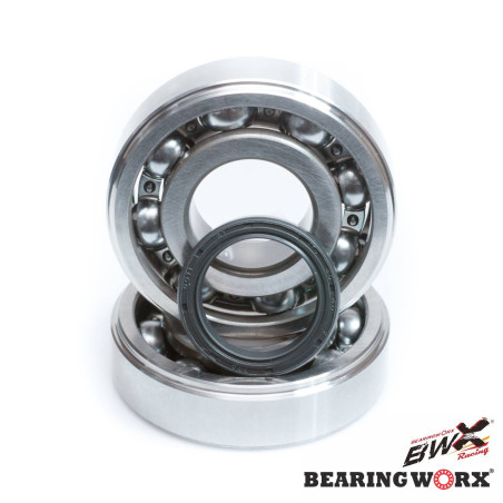 BEARING WORX crankshaft bearings with oil seals KAWASAKI KX 250 '02-'07 (24-1047) (NTN)