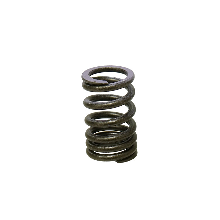 PSYCHIC intake valve spring KAWASAKI KXF 250 07-08 (MX-09552IS) - replaced XU-09540IS