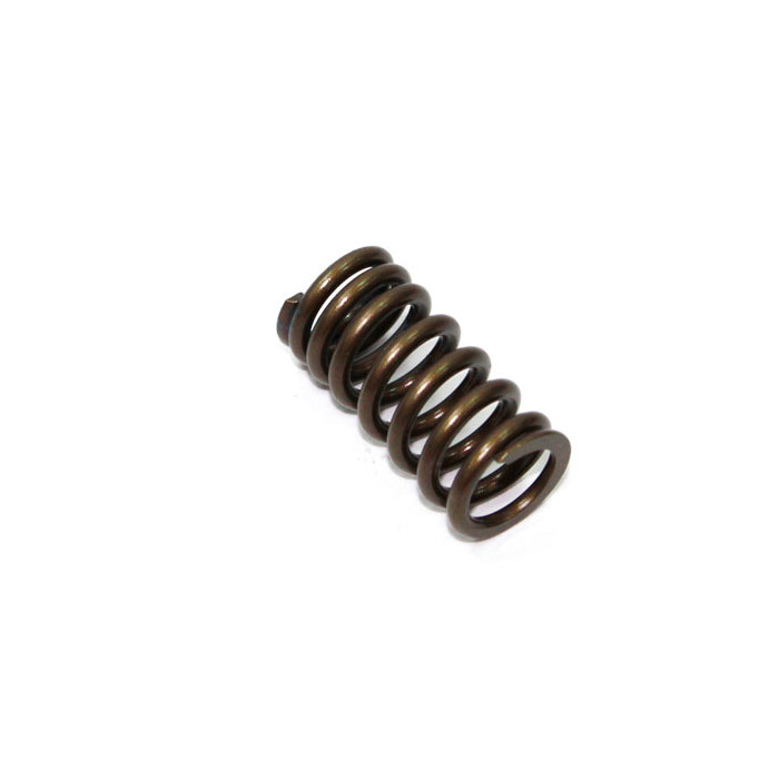 PSYCHIC exhaust valve spring HONDA CRF 250R '08-'09 (MX-09526ES)