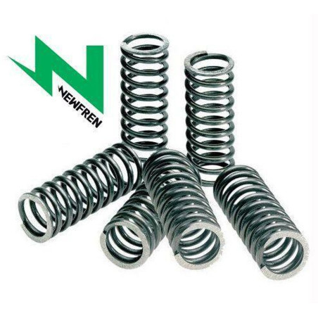 NEWFREN sankabos spyruoklės HONDA TRX400EX`99-08 (EBS073)