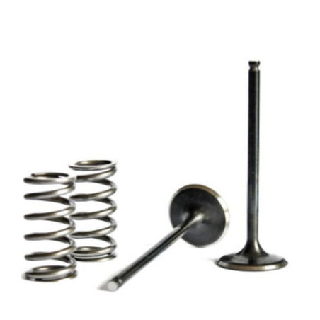 WISECO sale valve kit intake steel + springs SUZUKI RMZ 450 '07
