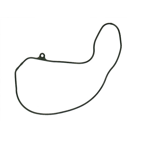 NAMURA combustion cover gasket (ORING) HONDA TRX 500FA/FGA/FPA '01-'14 (OEM-11396-HN2-000)