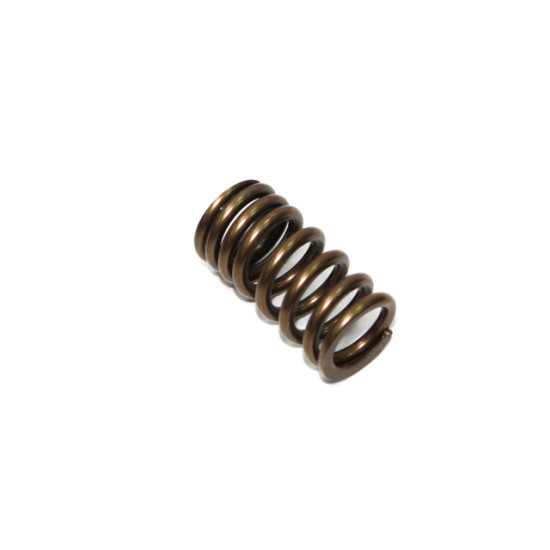 PSYCHIC intake valve spring SUZUKI RMZ 250 '07-'15 (MX-09529IS) - replaced XU-09509ES