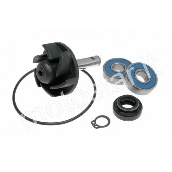 Minarelli Horizontal water pump repair kit