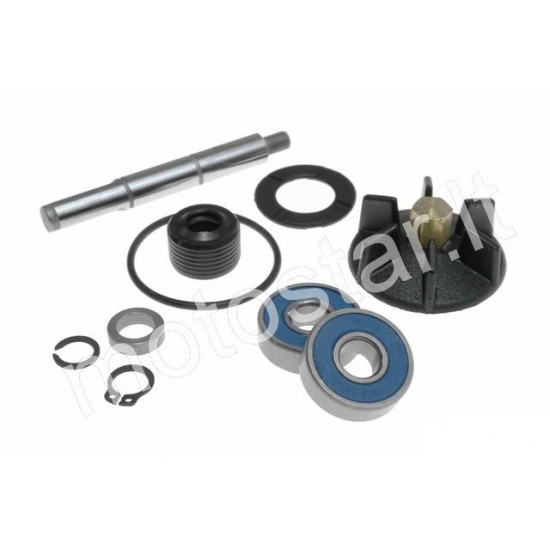Piaggio / Gilera 50 water pump repair kit