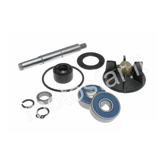 Piaggio / Gilera 50 water pump repair kit