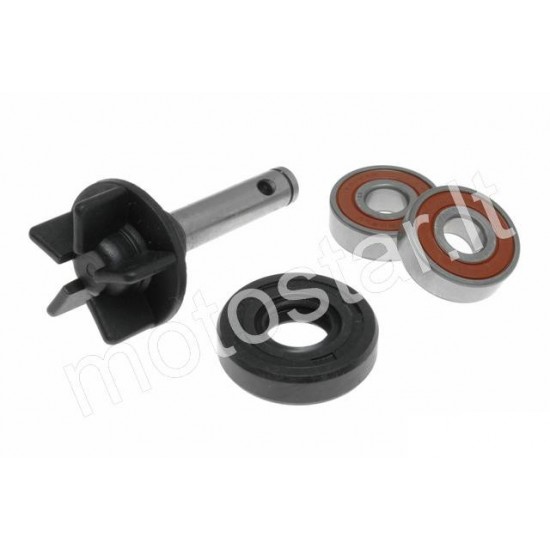 Morini water pump repair kit