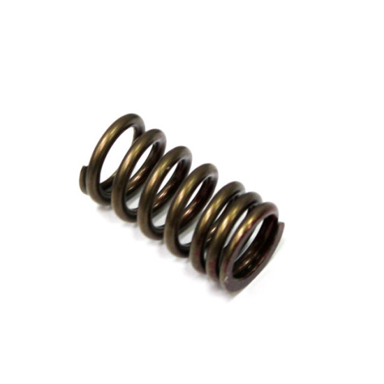 PSYCHIC exhaust valve spring HONDA CRF 450R '02-'08 (XU-09502ES)
