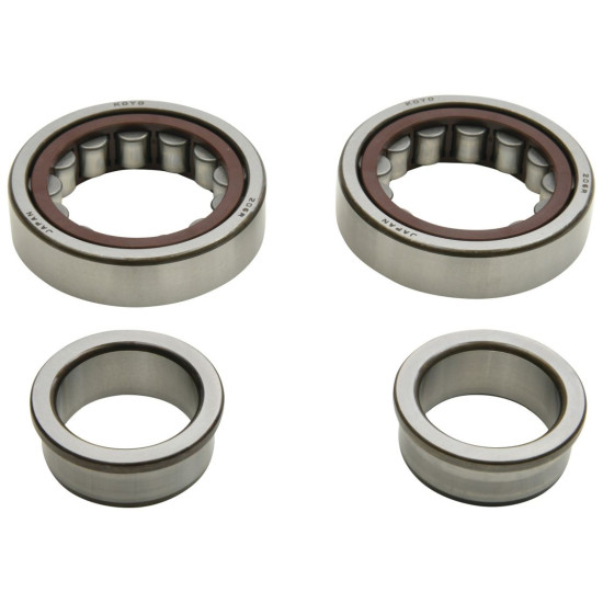 ALL BALLS crankshaft bearings with oil seals CAN-AM DS 450 '10-'15, DS 450 EFI MXC '09-'12, DS 450 EFI XXC '09-'12, DS 450