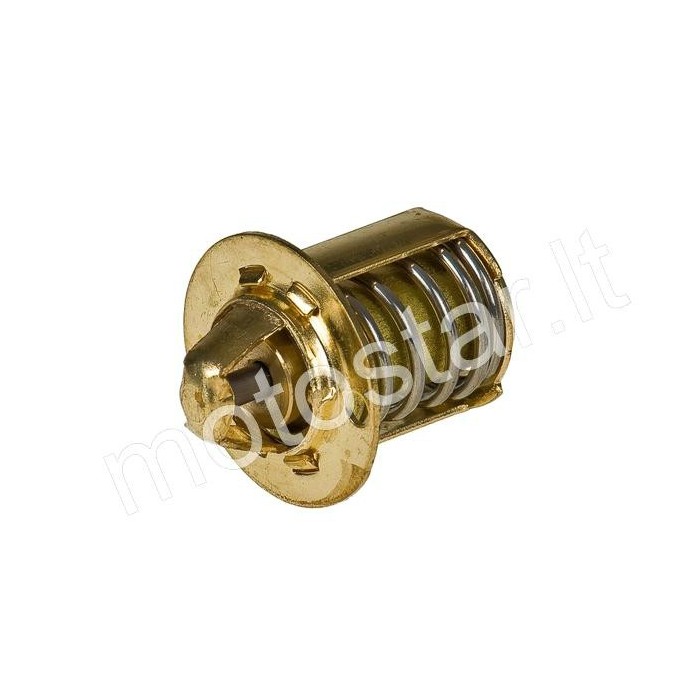 Minarelli / Minarelli AM6 thermostats