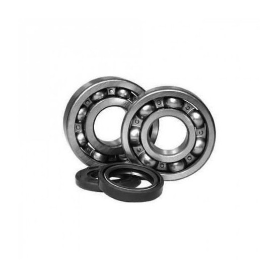 BEARING WORX crankshaft bearings with oil seals SUZUKI RM 250 '05-'08 (NTN) (K057)