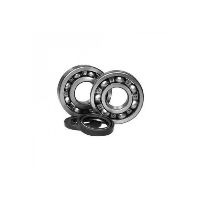 BEARING WORX crankshaft bearings with oil seals SUZUKI RM 250 '05-'08 (NTN) (K057)