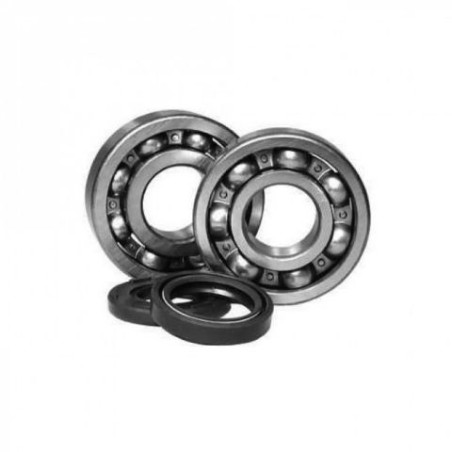 BEARING WORX crankshaft bearings with oil seals SUZUKI RM 250 '05-'08 (NTN) (K057)