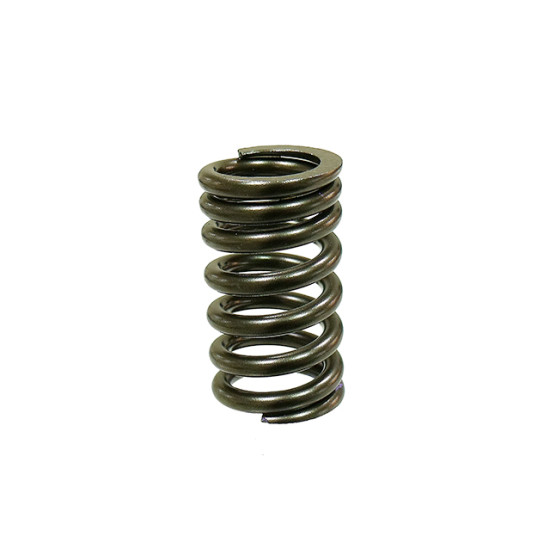 PSYCHIC intake/exhaust valve spring HONDA CRF150F 06-17