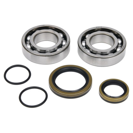 ALL BALLS crankshaft bearings with oil seals BETA RR 2T 250 '13-'22, RR 2T 300 '13-'22, RX 2T 300 '21, XTRAINER 300 '15-'2