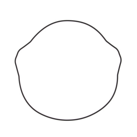 WINDEROSA (VERTEX) clutch cover gasket HONDA XR 400R(XR400) 96-04, TRX 400EX '99-13 (ORING) outer