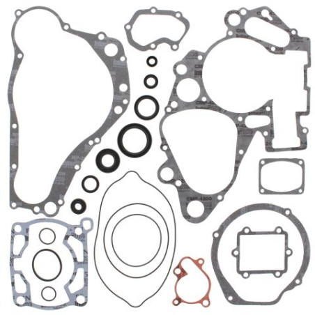 WINDEROSA (VERTEX) variklio tarpinių komplektas su riebokšliais SUZUKI RM250 94-95