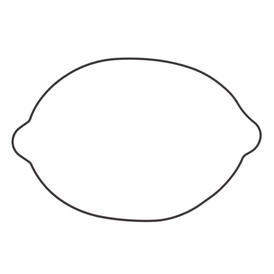 WINDEROSA (VERTEX) clutch cover gasket KTM SX250 (SX 250) 03-16, EXC 250 (EXC250) 04-05 XCW250 '04-'12, SX/EXC300 (S41027
