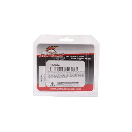ALL BALLS clutch piston repair kit KTM ENDURO R 690 17-20