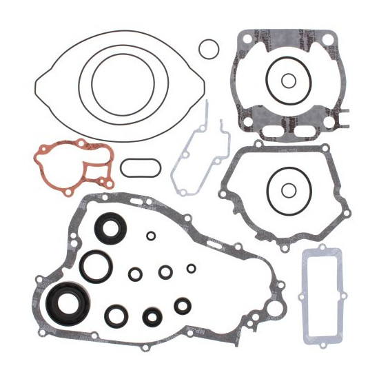 WINDEROSA (VERTEX) engine gasket set with oil seals YAMAHA YZ250 01