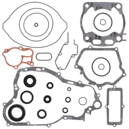 WINDEROSA (VERTEX) variklio tarpinių komplektas su riebokšliais YAMAHA YZ250 99-00